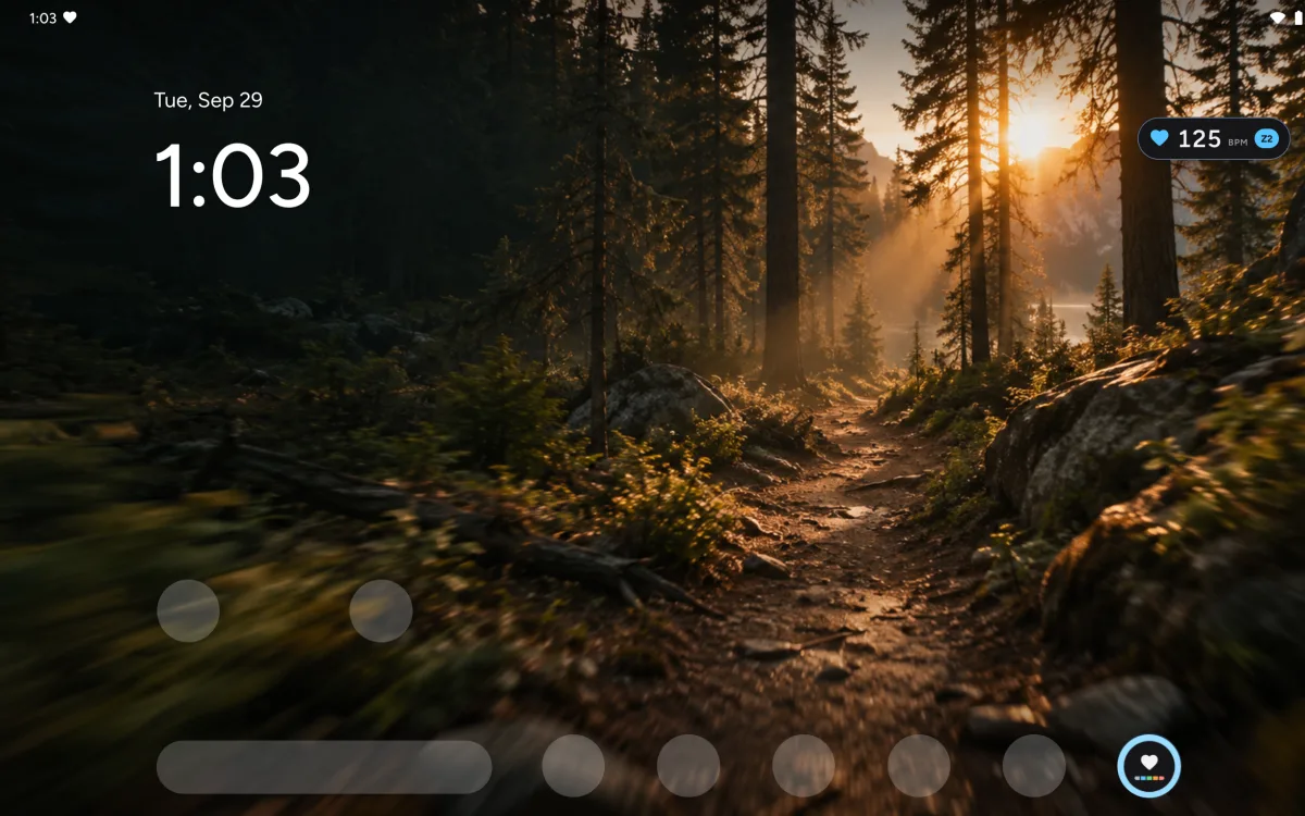 HR Pill on an Android tablet home screen